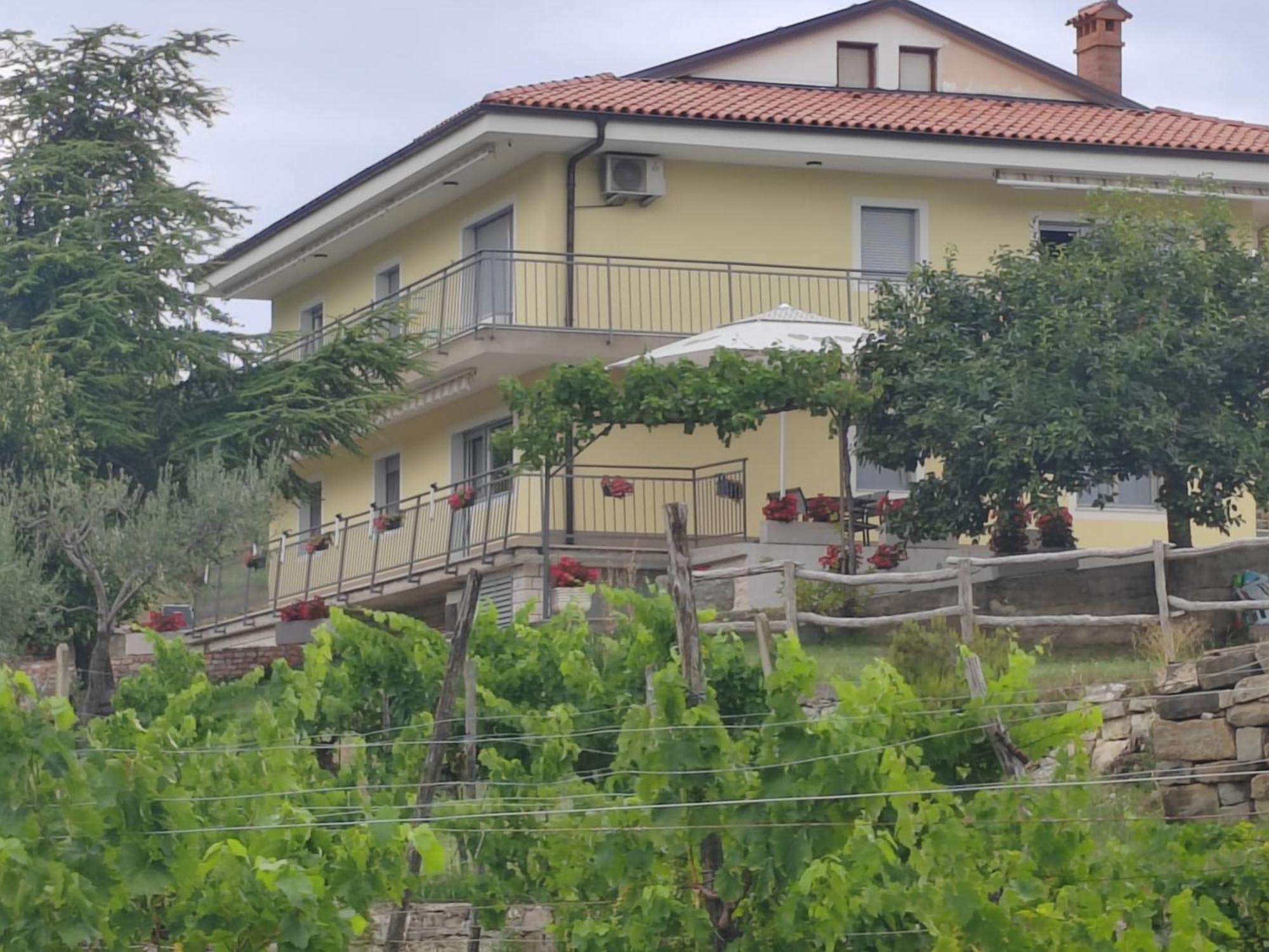 Apartma Belveder Appartement Izola